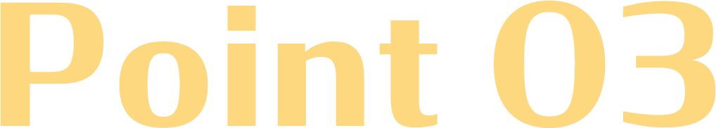 Point 03